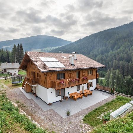Radlspitz Maurerhof Apartment Valdurna Exterior foto